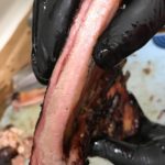 BBQ Catering Jacksonville FL Berndt Ends BBQ